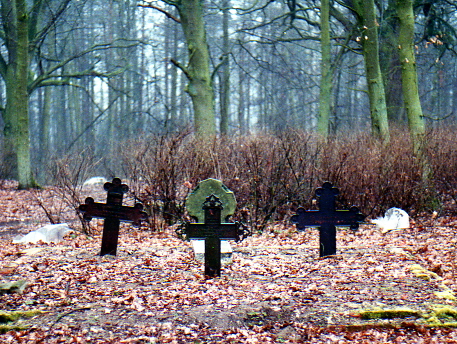Ein_Blick_auf_den_Friedhof